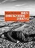 Den druknede dreng. Flygtningekrisen i litteratur og kunst by Klaus Rothstein