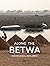 Along the Betwa by Radhika Singh