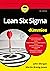 Lean Six Sigma voor Dummies