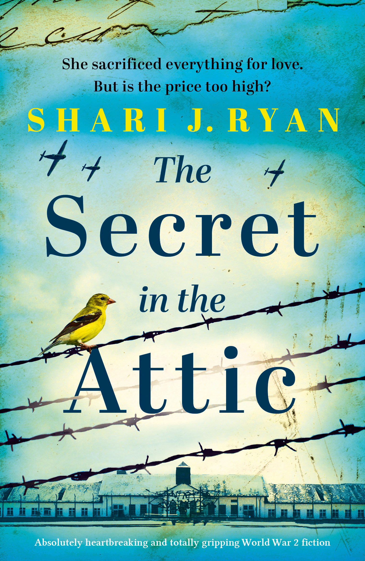 The Secret in the Attic