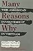 Many Reasons Why: The Ameri...