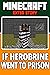 Minecraft: If Herobrine wen...