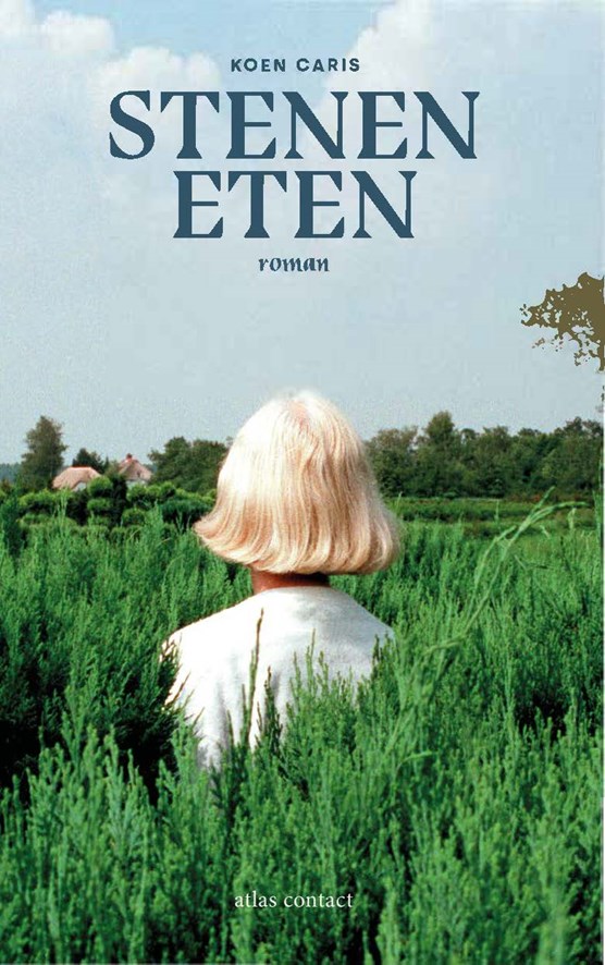 Stenen eten (Paperback)