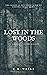 Lost In The Woods