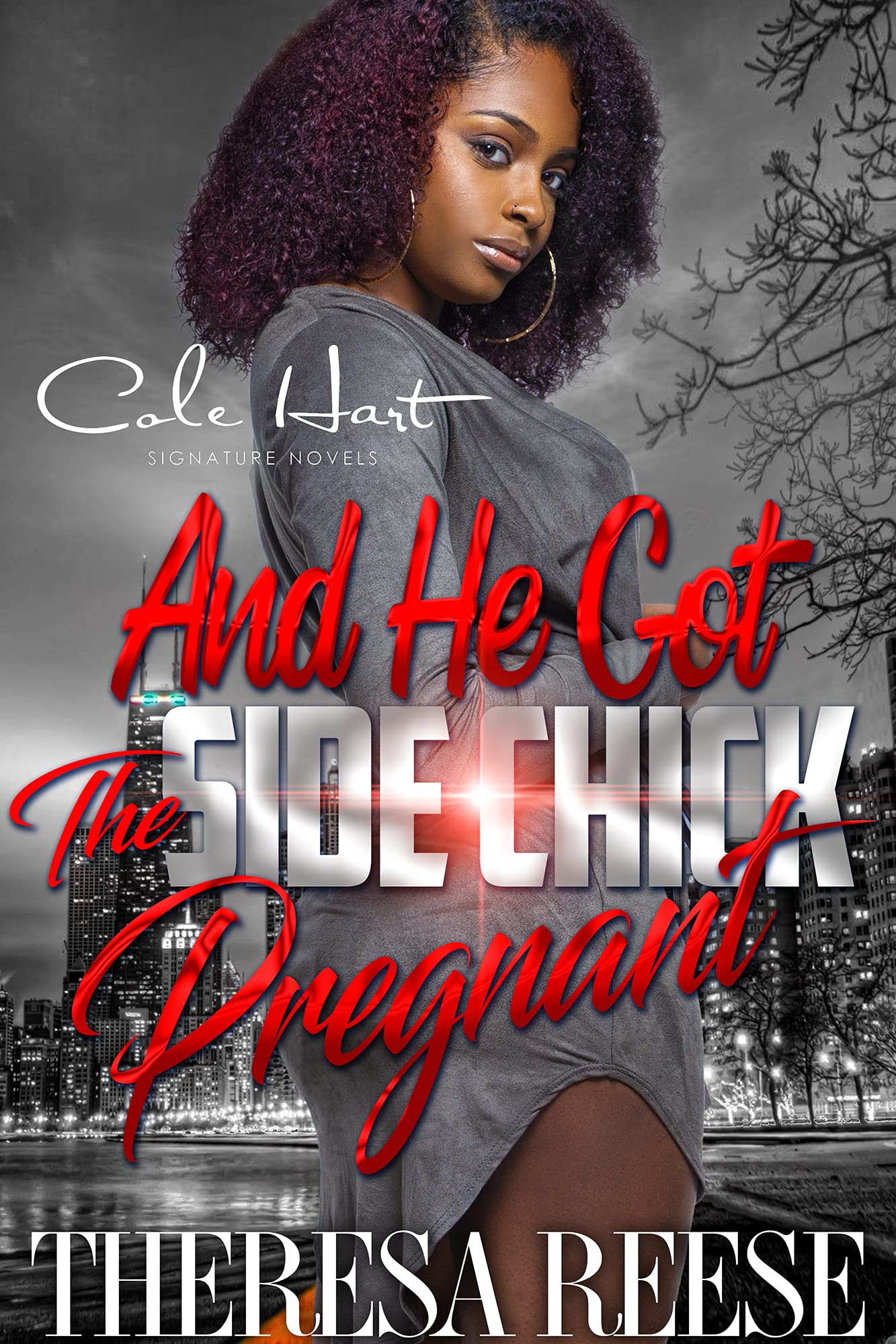 And He Got The Side Chick Pregnant (Kindle Edition)