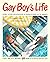 Gay Boy's Life by Michael Anastasio