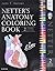 Netter's Anatomy Coloring Book