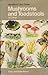 Mushrooms and Toadstools in Colour