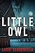 Little Owl by Lauri Schoenfeld Little Owl by Lauri Schoenfeld
