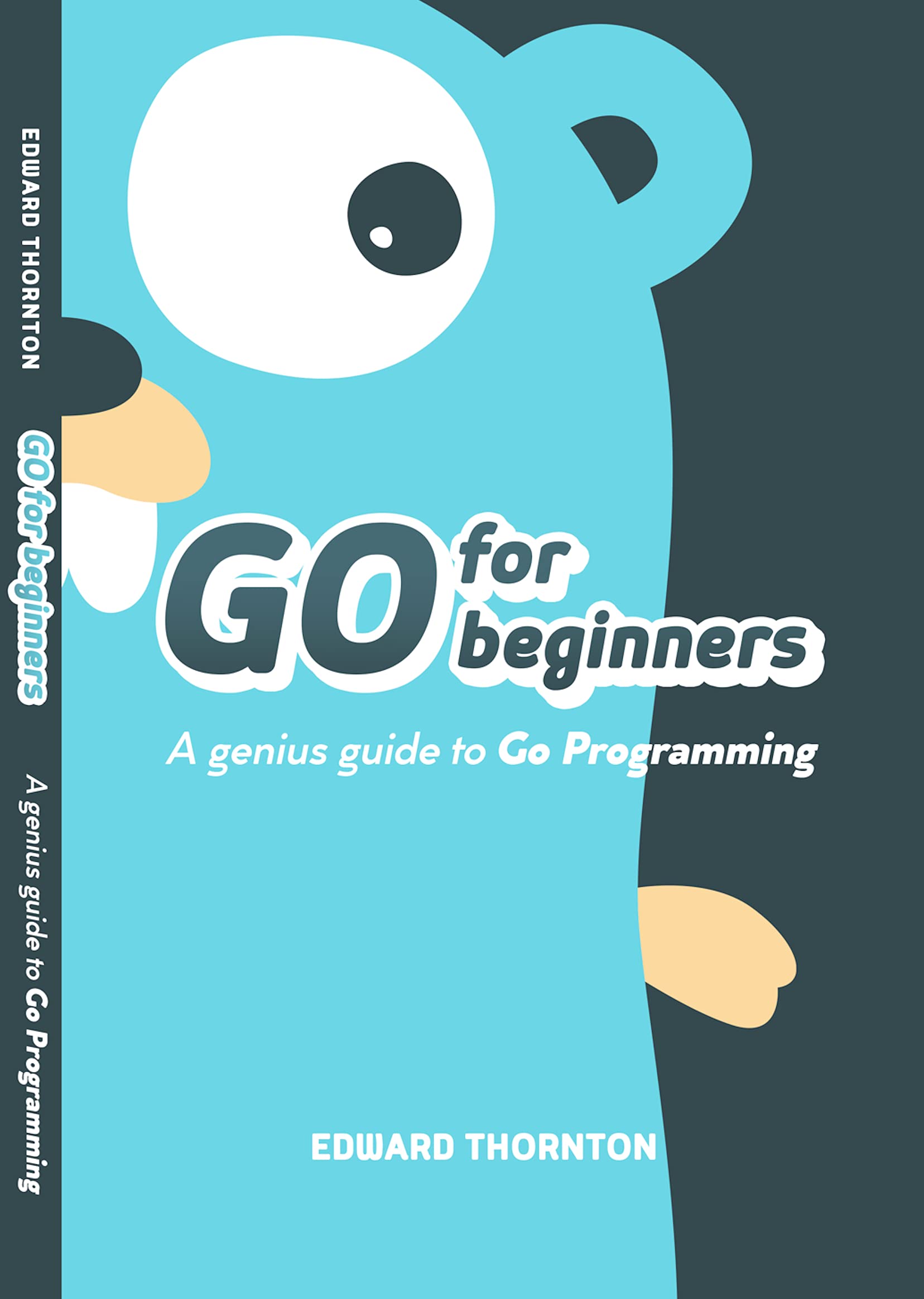 Go For Beginners : A Genius Guide to Go Programing (Kindle Edition)