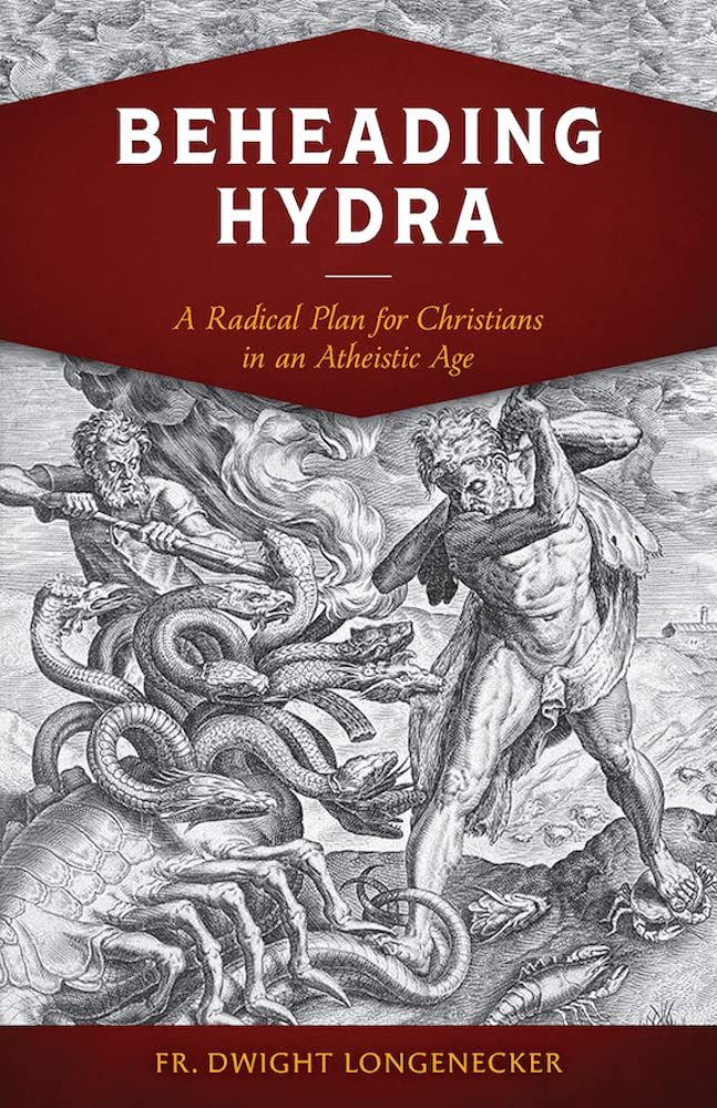 Beheading Hydra: A Radical Plan for Christians in an Atheistic Age (Kindle Edition)