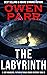The Labyrinth by Owen Parr