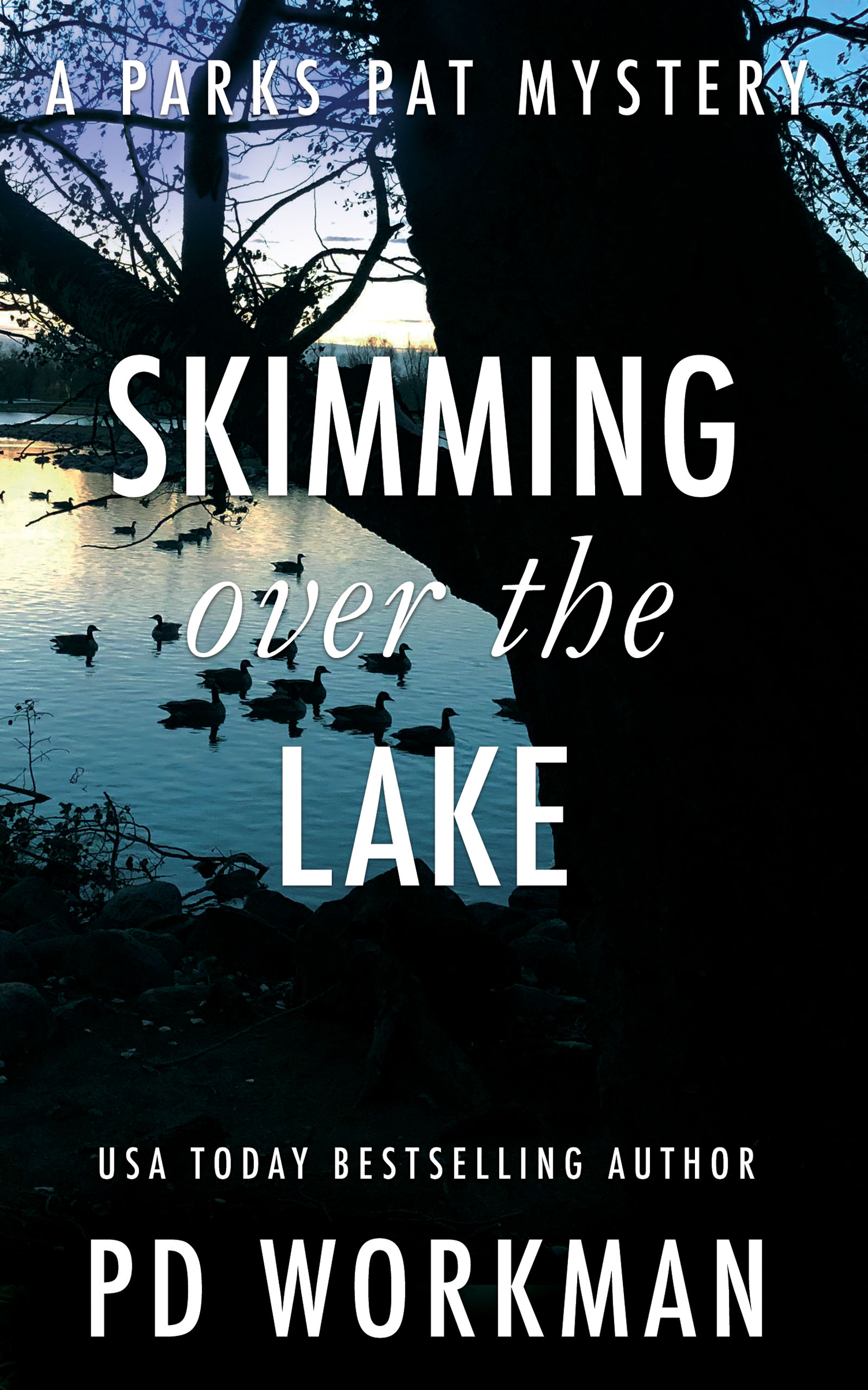 Skimming Over the Lake (Parks Pat Mysteries, #5)