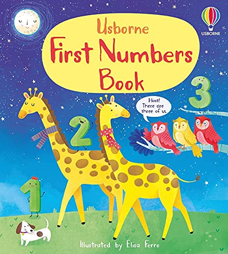 First Numbers Book (Board book)