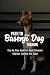 Path To Basenji Dog Training: Step By Step Guide For Rapid Command Adoption, Learning And Doing: Basenji Dog Treating Guide