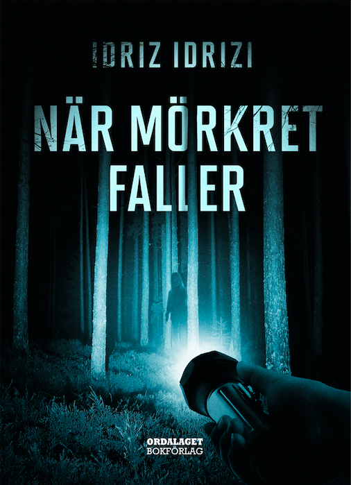 När mörkret faller (Hardcover)