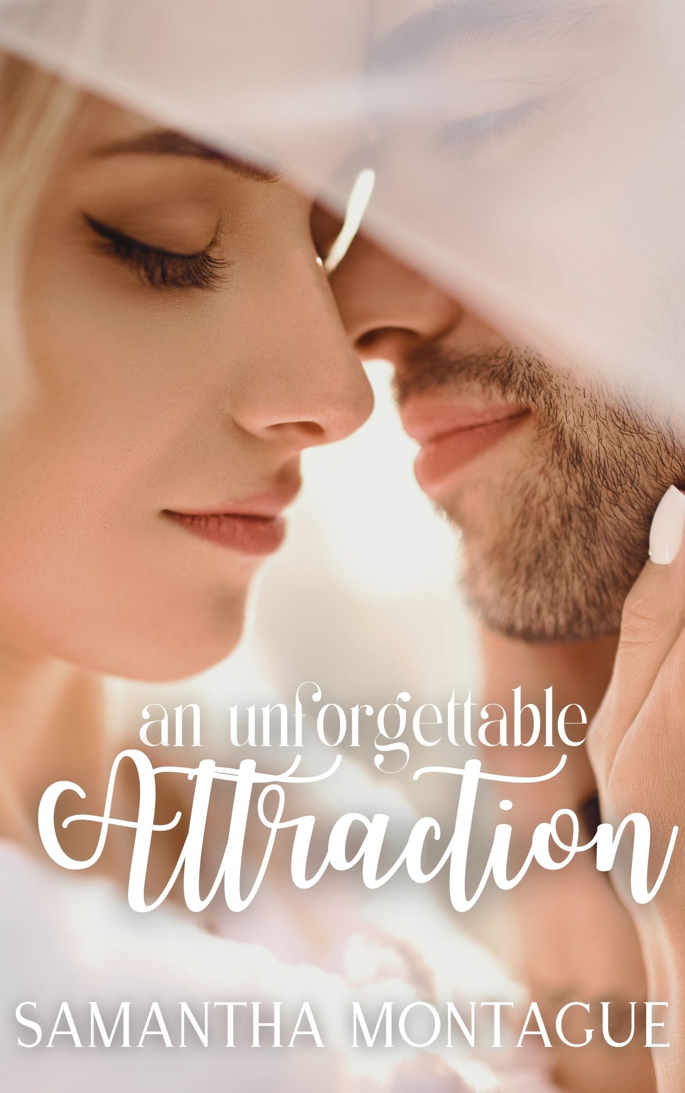 An Unforgettable Attraction (Attraction Series, #2)