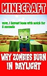 Minecraft Comic: Why Zombies Burn In Daylight