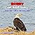 Bobby the Bald Eagle: Book One – Life in the Eagle Nest