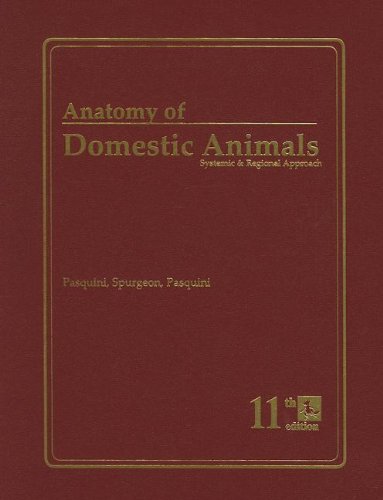 Anatomy of Domestic Animals: Systemic & Regional Approach by Chris Pasquini, Sudz Pub