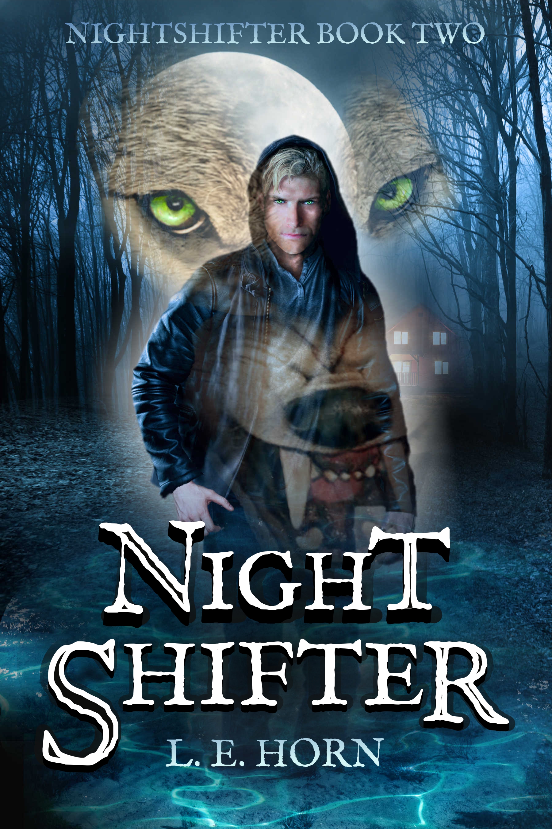 NIGHT SHIFTER (Book 2 of 5)