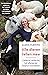 Alle dieren tellen mee: Het verhaal van de vrouw die een hospice voor terminaal zieke dieren runt