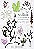 The Seaweed Collector's Handbook: From Purple Laver to Peacock’s Tail