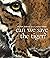Can We Save the Tiger?