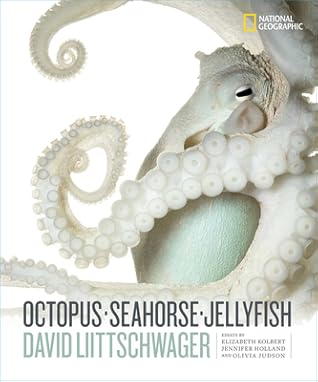 Octopus, Seahorse, Jellyfish