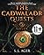 The Cadwaladr Quests (Book Three: Cat's Eye): The 11+ and SATs Vocabulary Novel
