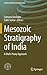 Mesozoic Stratigraphy of India by Santanu Banerjee