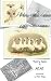 How the daisy got its name:...