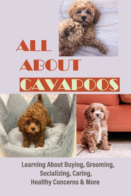 All About Cavapoos: Learning About Buying, Grooming, Socializing, Caring, Healthy Concerns & More: How To Breed Cavapoo
