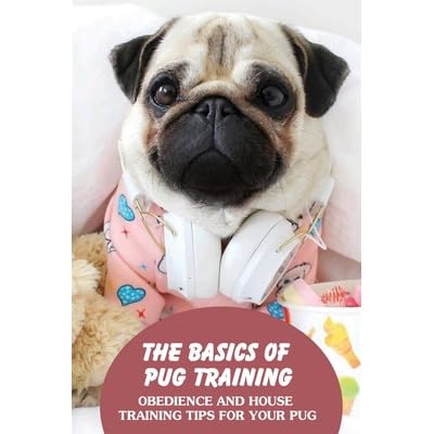 house training a pug