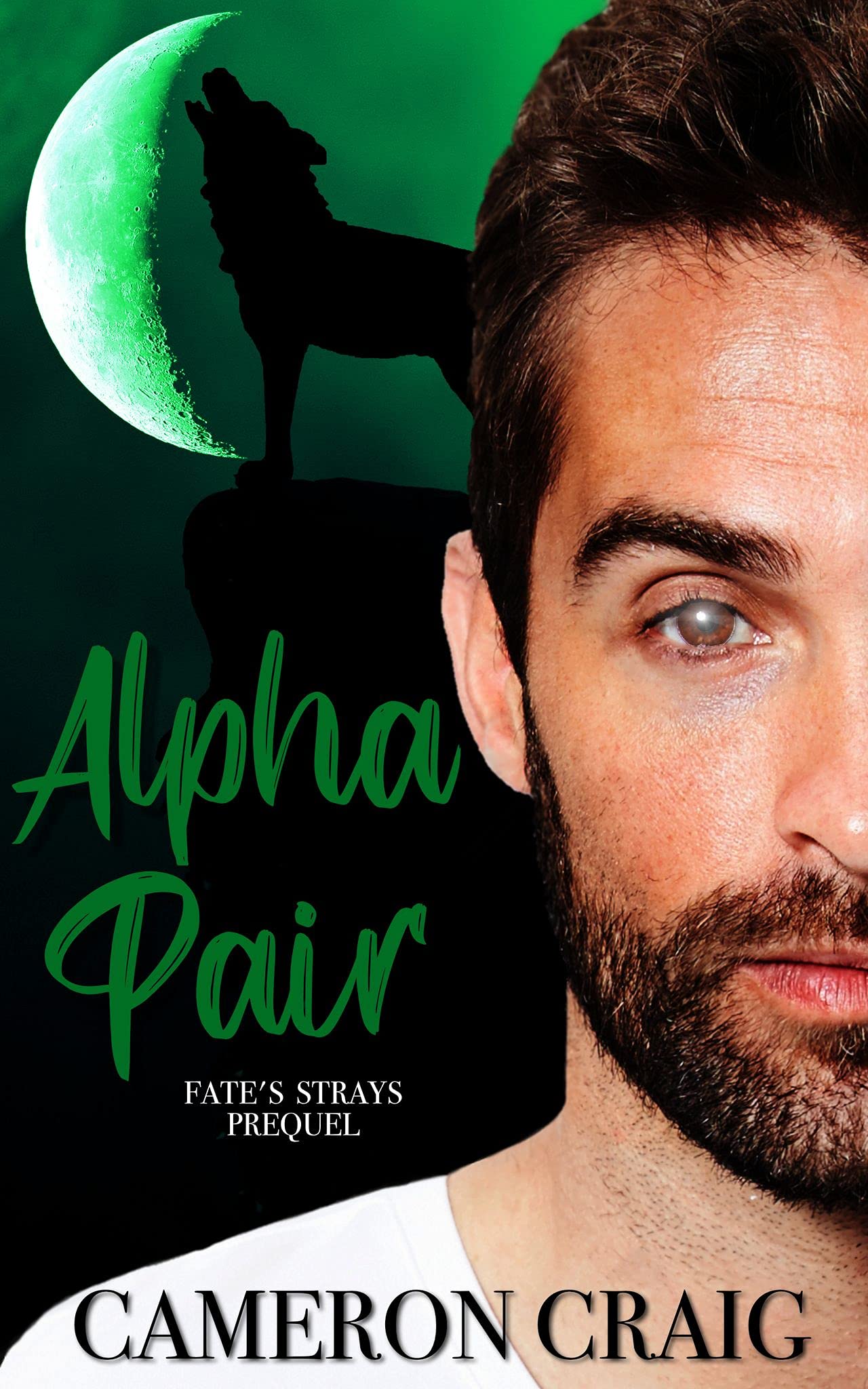 Alpha Pair (Fate's Strays, #0.5)