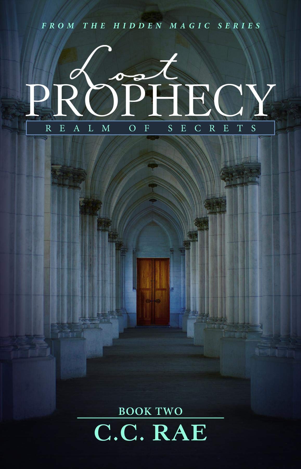 Lost Prophecy: Realm of Secrets (The Hidden Magic Series Book 2)