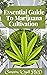 Essential Guide To Marijuan...