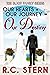 Our Hearts + Our Journey = Our Destiny (The Blake Family Series, #3) by R.C. Stern