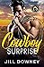 Cowboy Surprise by Jill Downey