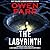 The Labyrinth: A Joey Mancuso, Father O'Brian Crime Mystery Book 8