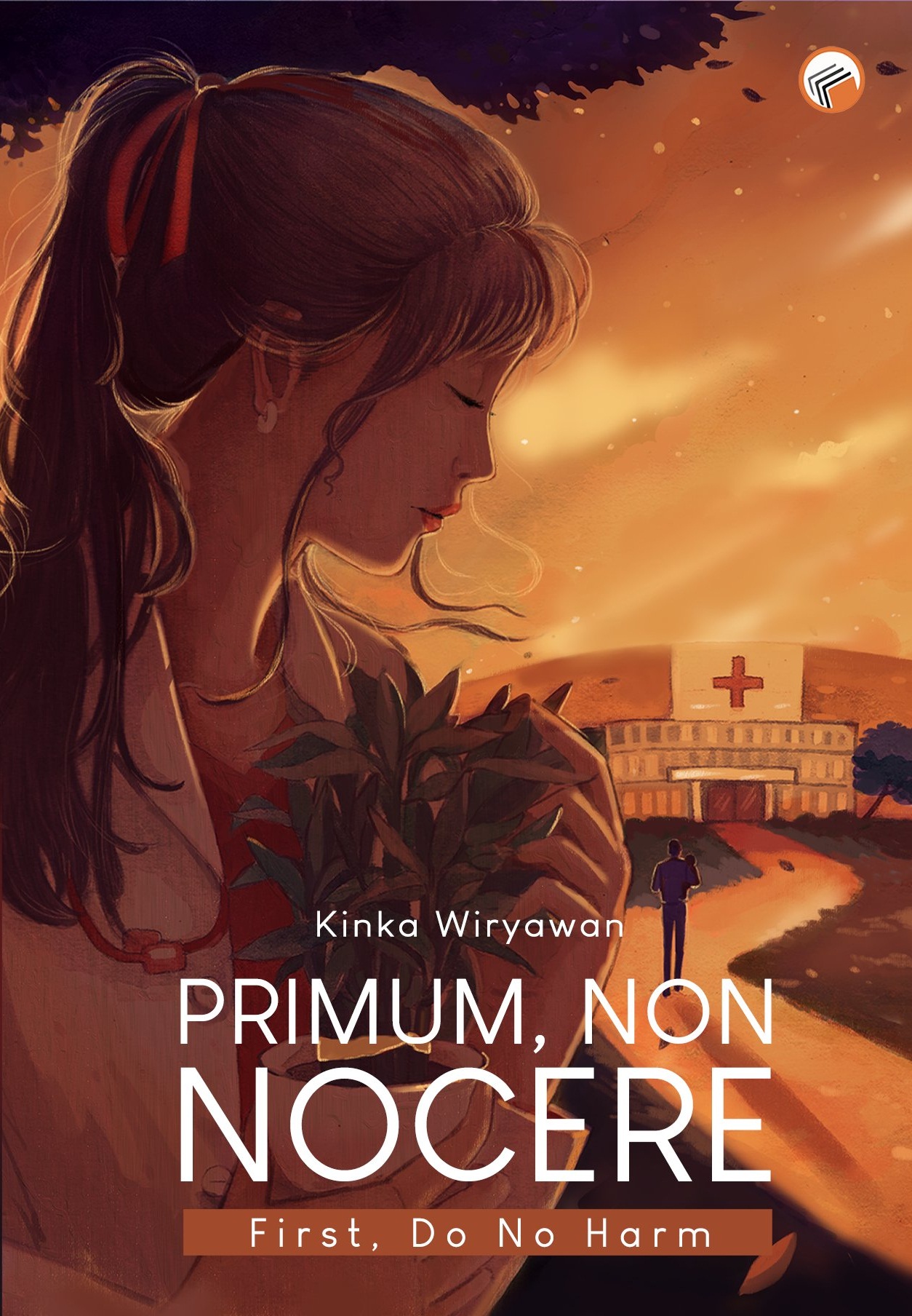 Primum, Non Nocere (Paperback)