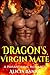 Dragon's Virgin Mate