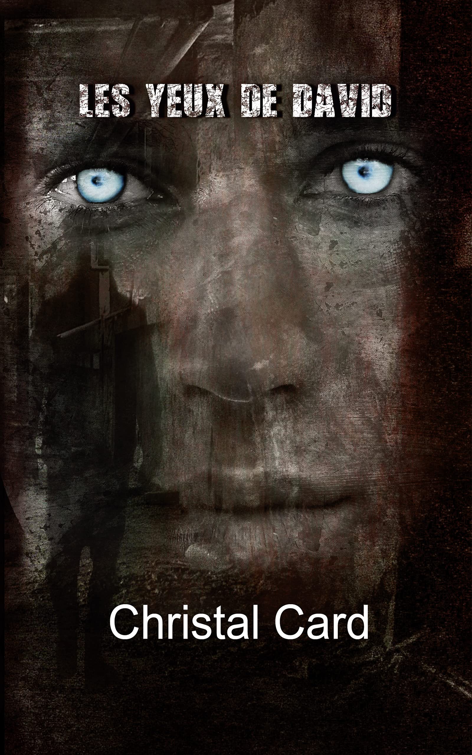 Les Yeux de David (Kindle Edition)