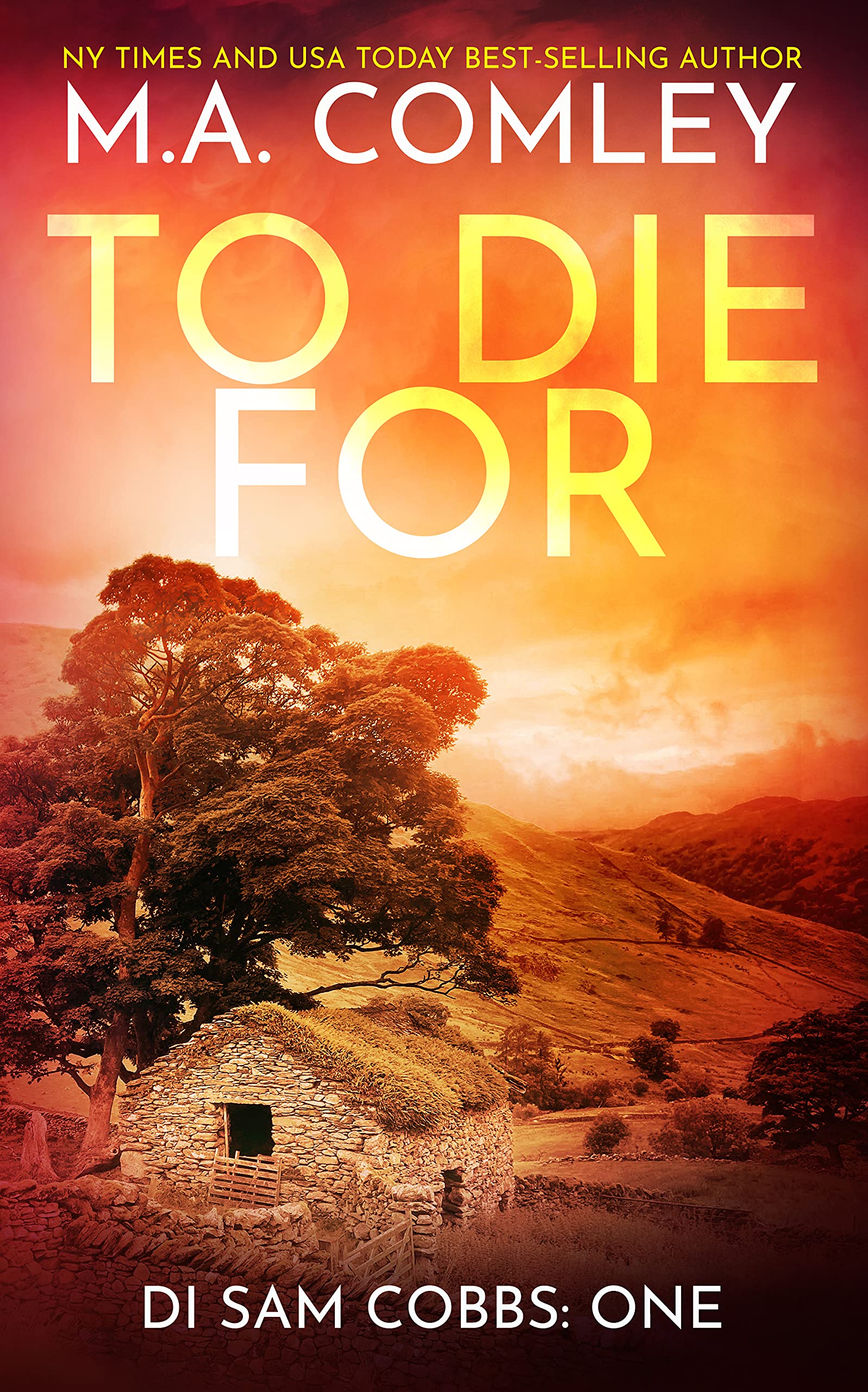 To Die For (DI Sam Cobbs, #1)