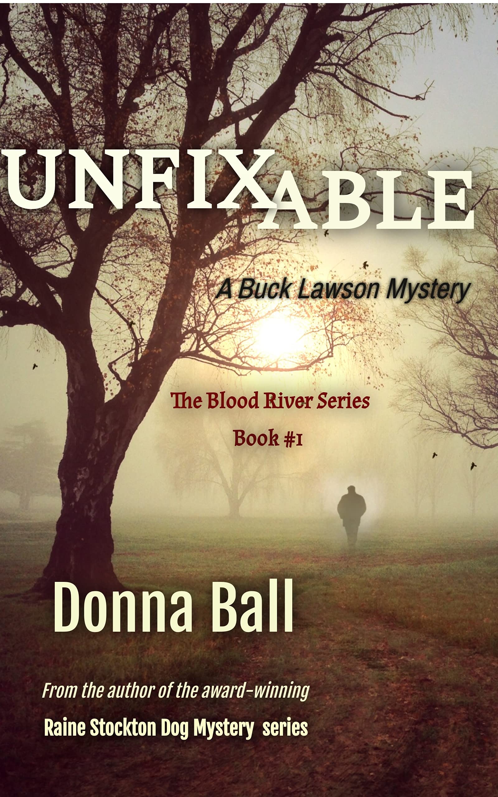 Unfixable: A Buck Lawson Mystery (The Blood River Series Book 1)