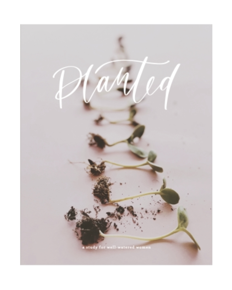 Planted: A Study for Well-Watered Women