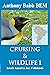 Cruising & Wildlife 1: Sout...