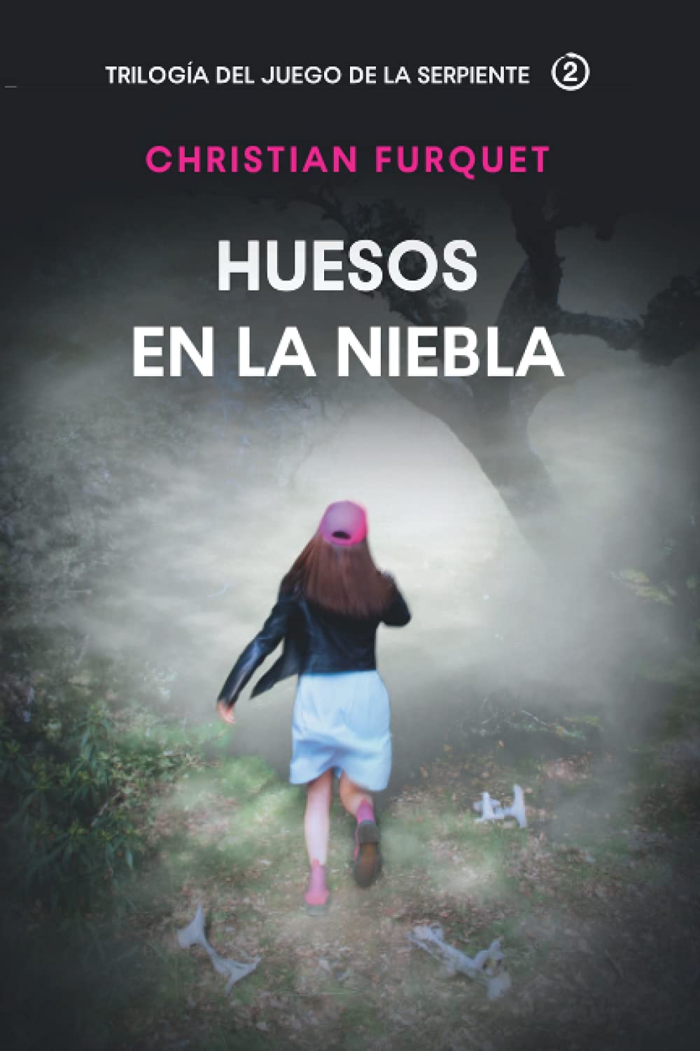 Portada de Huesos en la Niebla:, de Christian Furquet