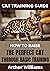 CAT TRAINING GUIDE: HOW TO ...