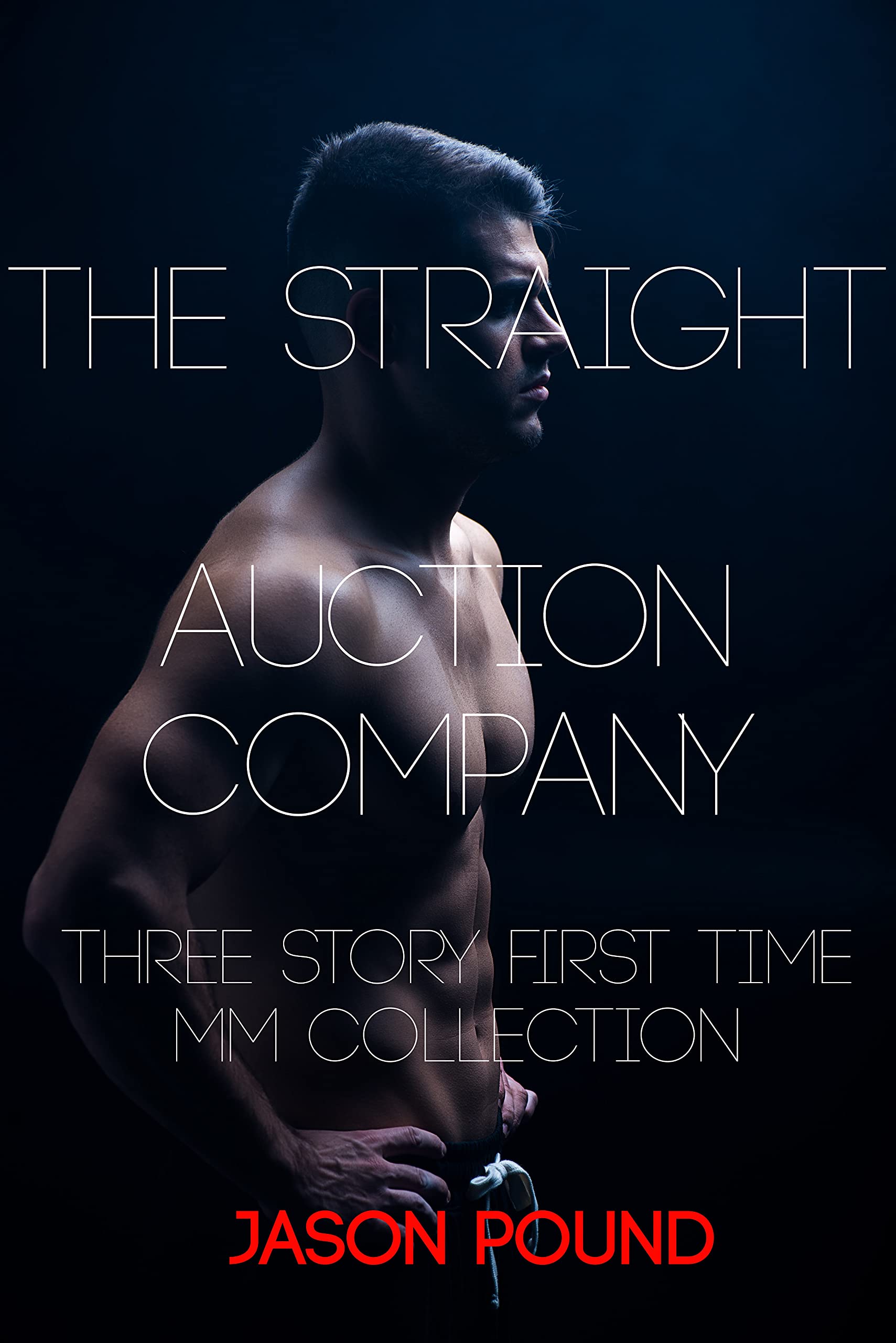 The Straight Auction Company: Three Story First Time MM Collection (Kindle Edition)